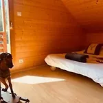 Chaleureux A Avec Et Sauna - Fr-1-589-843 Holiday home *