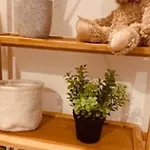 Chaleureux A Avec Et Sauna - Fr-1-589-843 Holiday home *