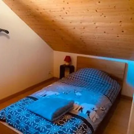 Chaleureux A Avec Et Sauna - Fr-1-589-843 Gérardmer