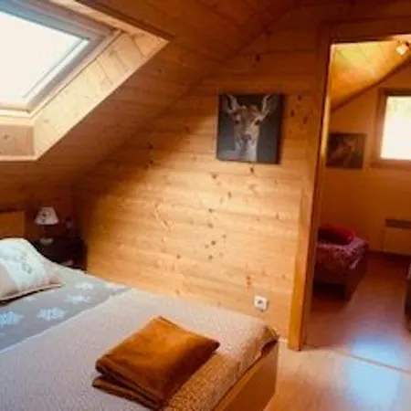 Prázdninový dům Chaleureux A Avec Et Sauna - Fr-1-589-843 Gérardmer