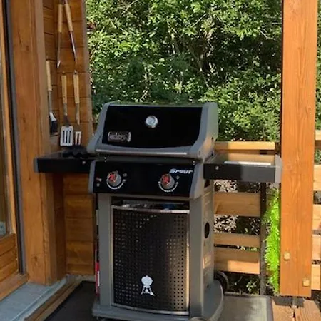 Chaleureux A Avec Et Sauna - Fr-1-589-843 Holiday home Gerardmer