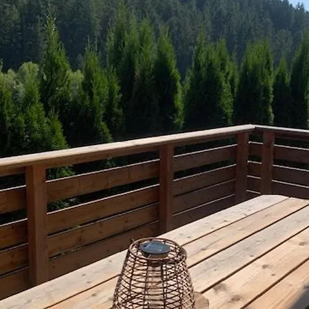 Kır Evi Chaleureux A Avec Et Sauna - Fr-1-589-843 Gérardmer