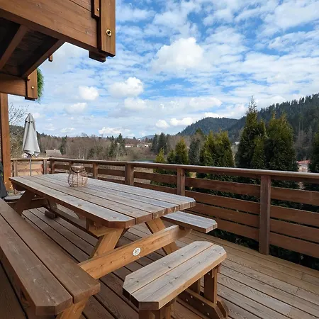 Chaleureux A Avec Et Sauna - Fr-1-589-843 * Gérardmer