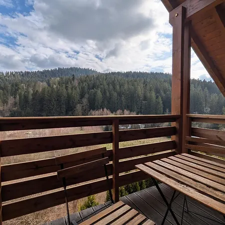 Kır Evi Chaleureux A Avec Et Sauna - Fr-1-589-843 Gérardmer