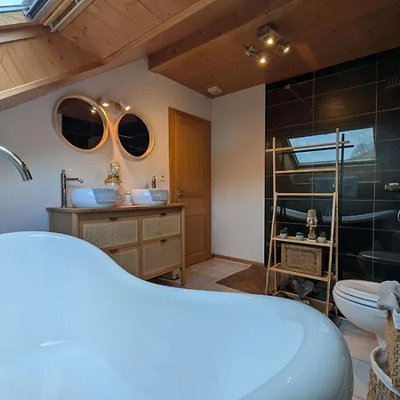 Chaleureux A Avec Et Sauna - Fr-1-589-843 Gérardmer