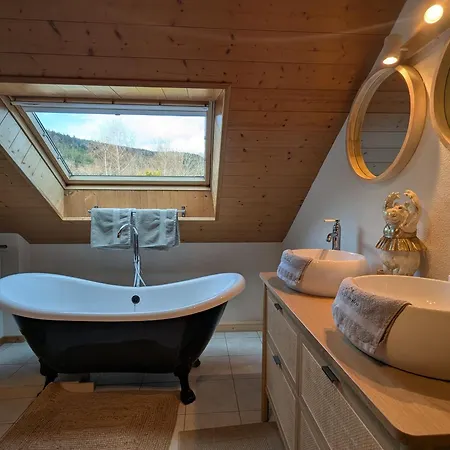 Chaleureux A Avec Et Sauna - Fr-1-589-843 * Gérardmer