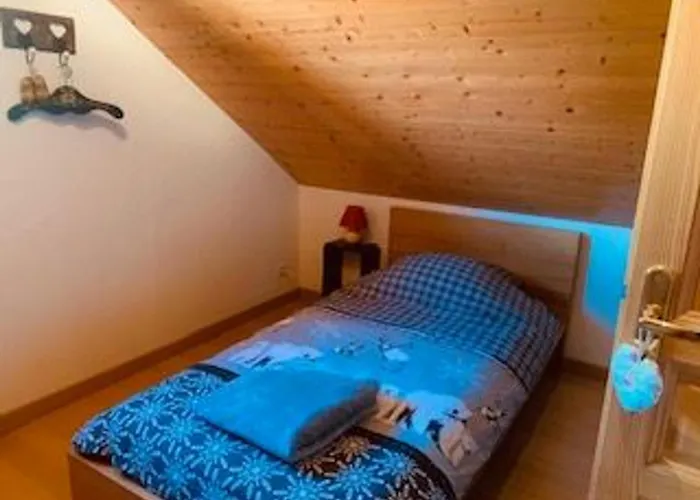 Chaleureux A Avec Et Sauna - Fr-1-589-843 Gérardmer