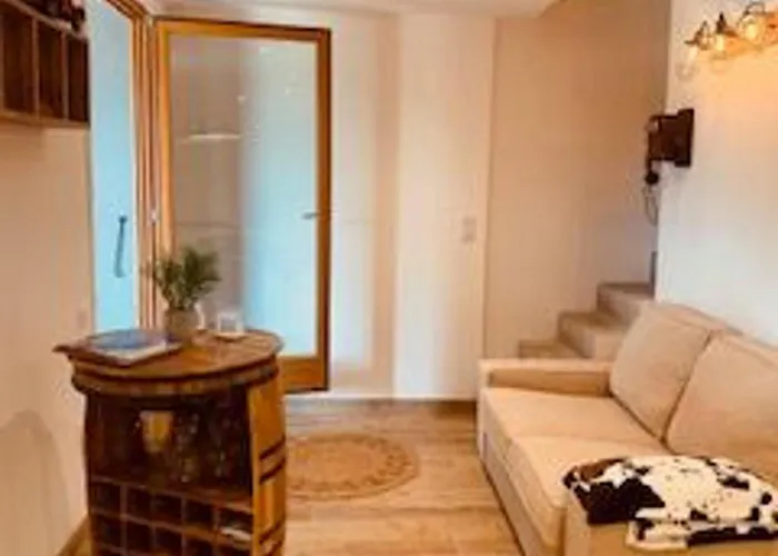 Chaleureux A Avec Et Sauna - Fr-1-589-843 Prázdninový dům